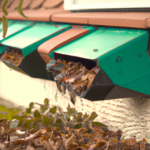 Gutter Care for Spring: Tips to Prevent Clogs and Damage from Rain and Debris