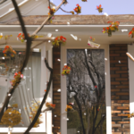 Seasonal Solutions: Expert Advice for Maintaining Your Home's Exterior in Spring